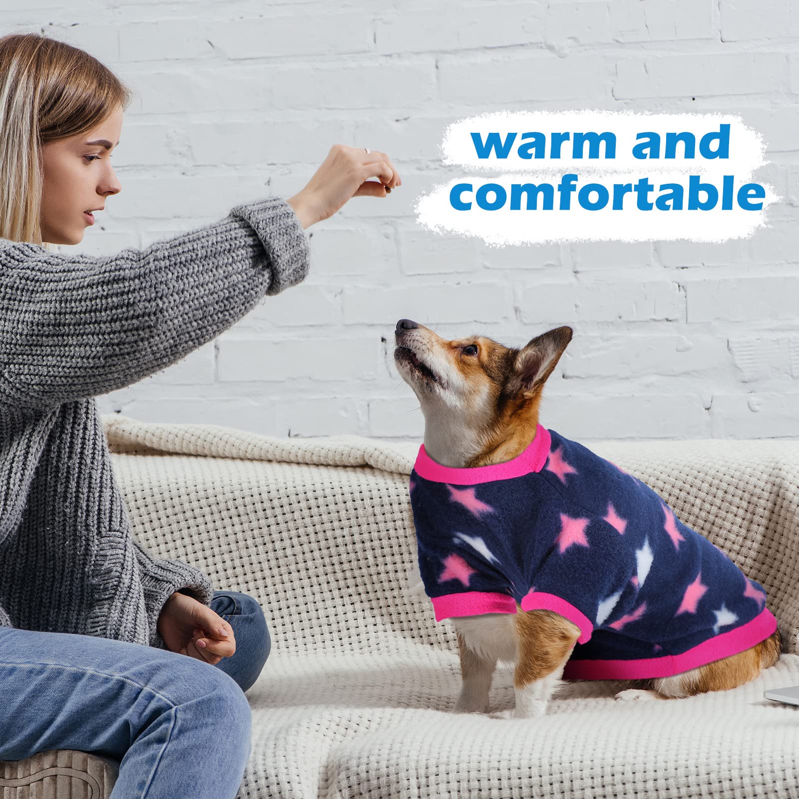 Xuniea bright-color styles help pets look cute and dressed.