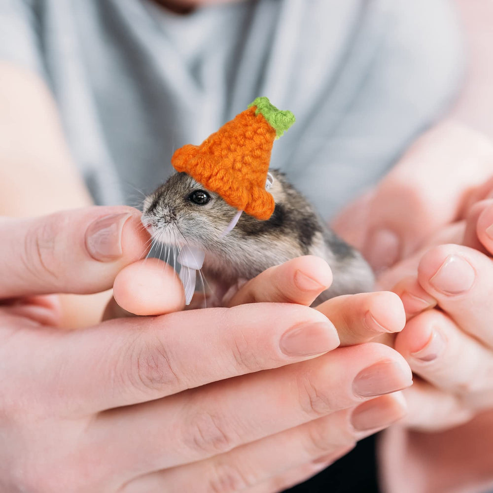 Xuniea hamster hat carrot style adds playful seasonal vibe for events