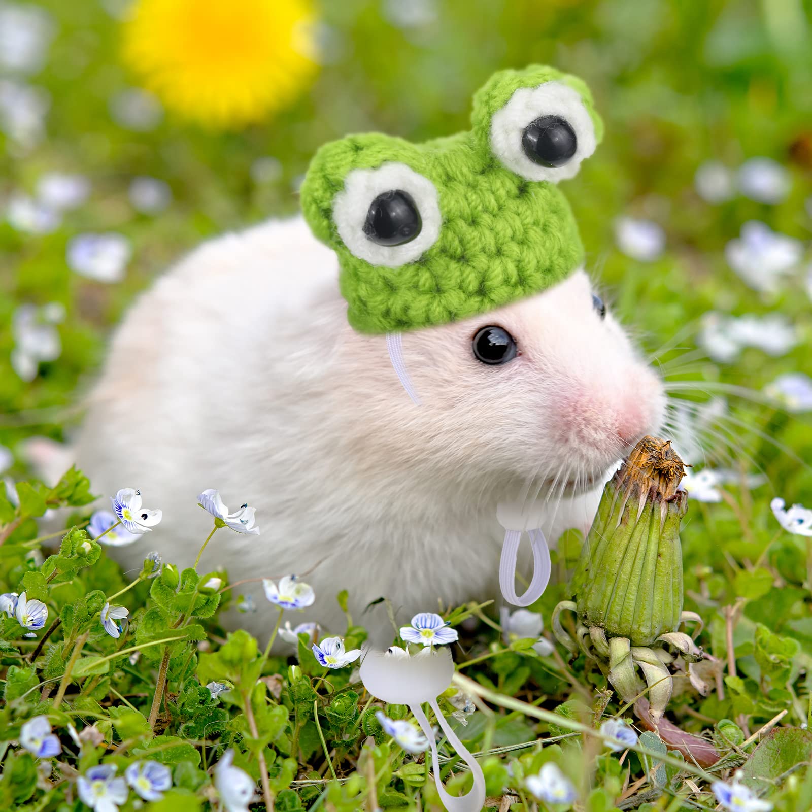 Xuniea hats serve as charming photo props for parties and holidays