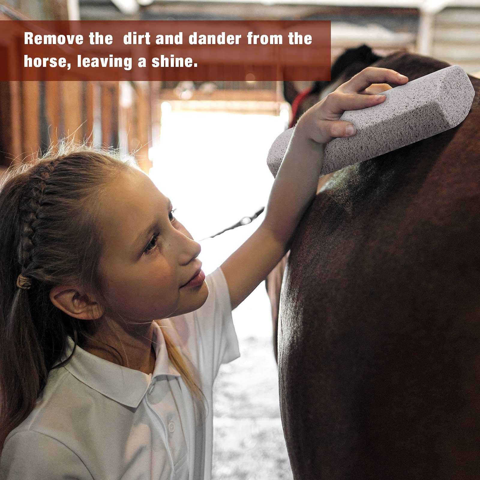 Xuniea pet hair remover pumice stone compact size for easy storage in backpack or drawer.