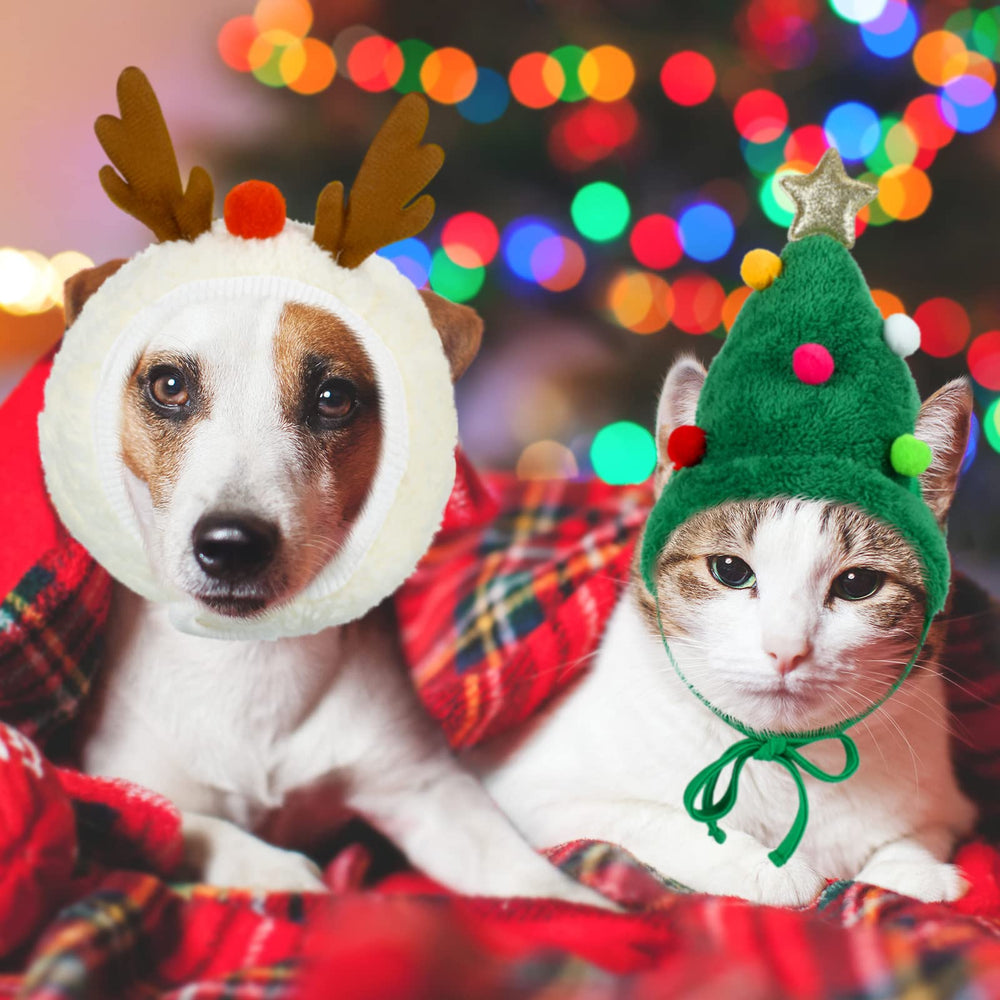 Xuniea reindeer pet cap provides cozy head coverage for winter walks.