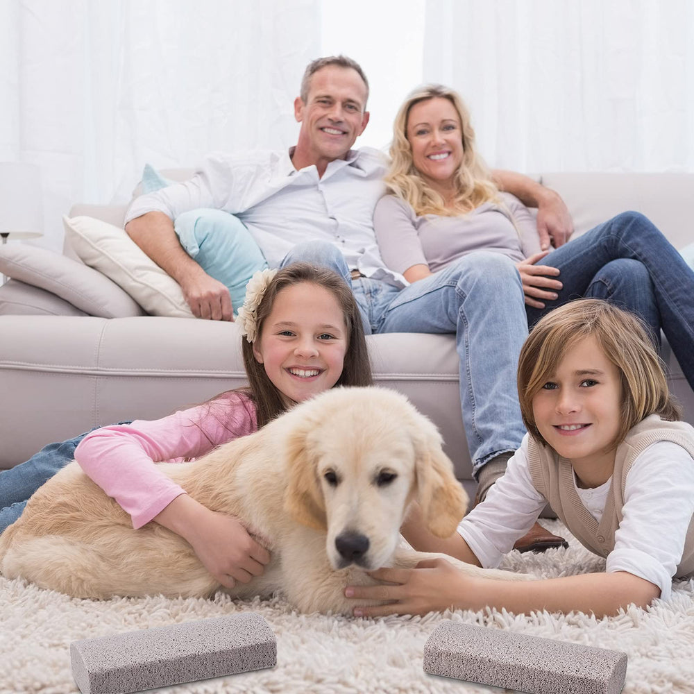 Xuniea two-pack pet fur removal tools shown for car and home use.