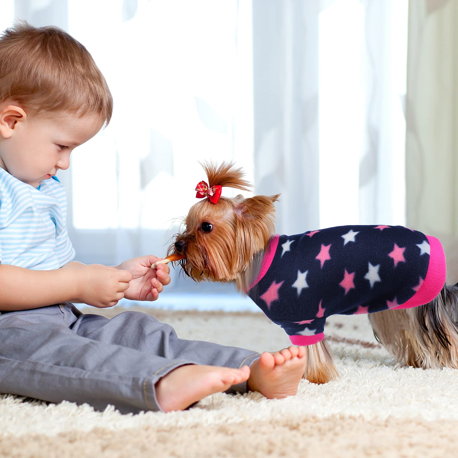 Xuniea warm dog clothes for small pets during cold days