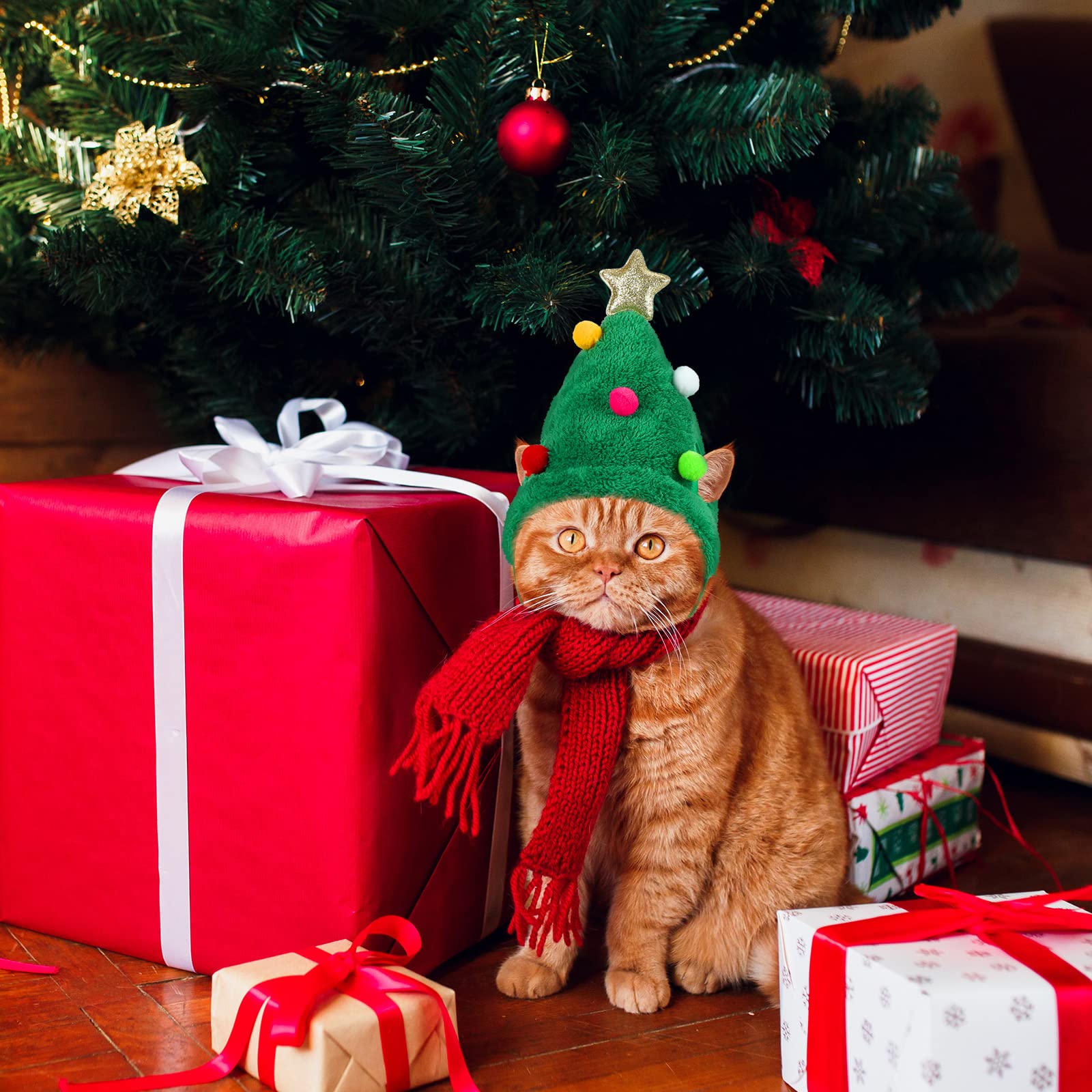 Xuniea winter-ready hat keeps small pets warm during chilly days.