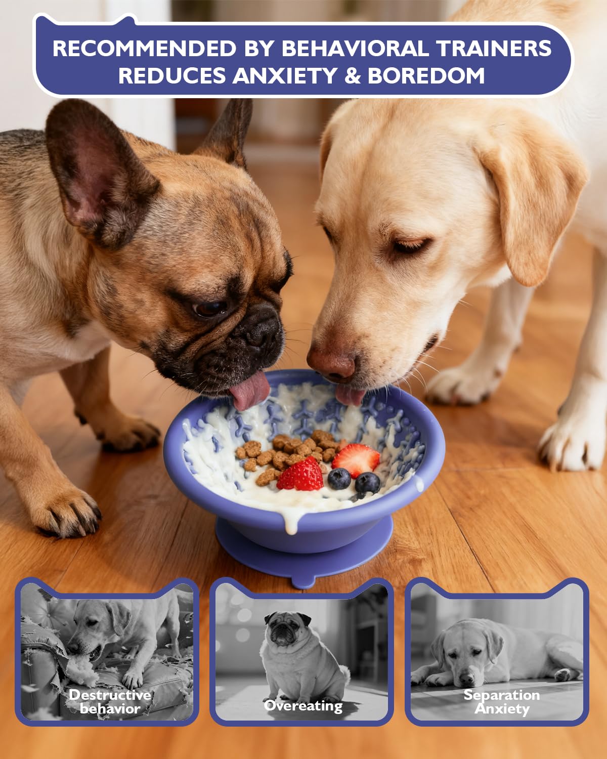 XUOEGUZ anti-slip suction base keeps the bowl steady during vigorous licking.