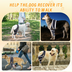 XUVIRA dog knee brace - back leg with metal stabilizers for reliable support during recovery.