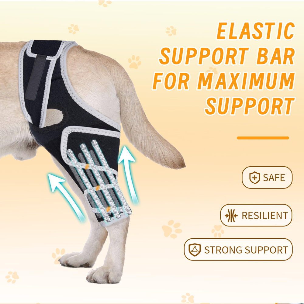 XUVIRA dog knee brace - easy-on Velcro strap for quick fitting and security.