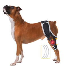 XUVIRA dog knee brace - front leg adjustable strap ensures secure comfort during activity.