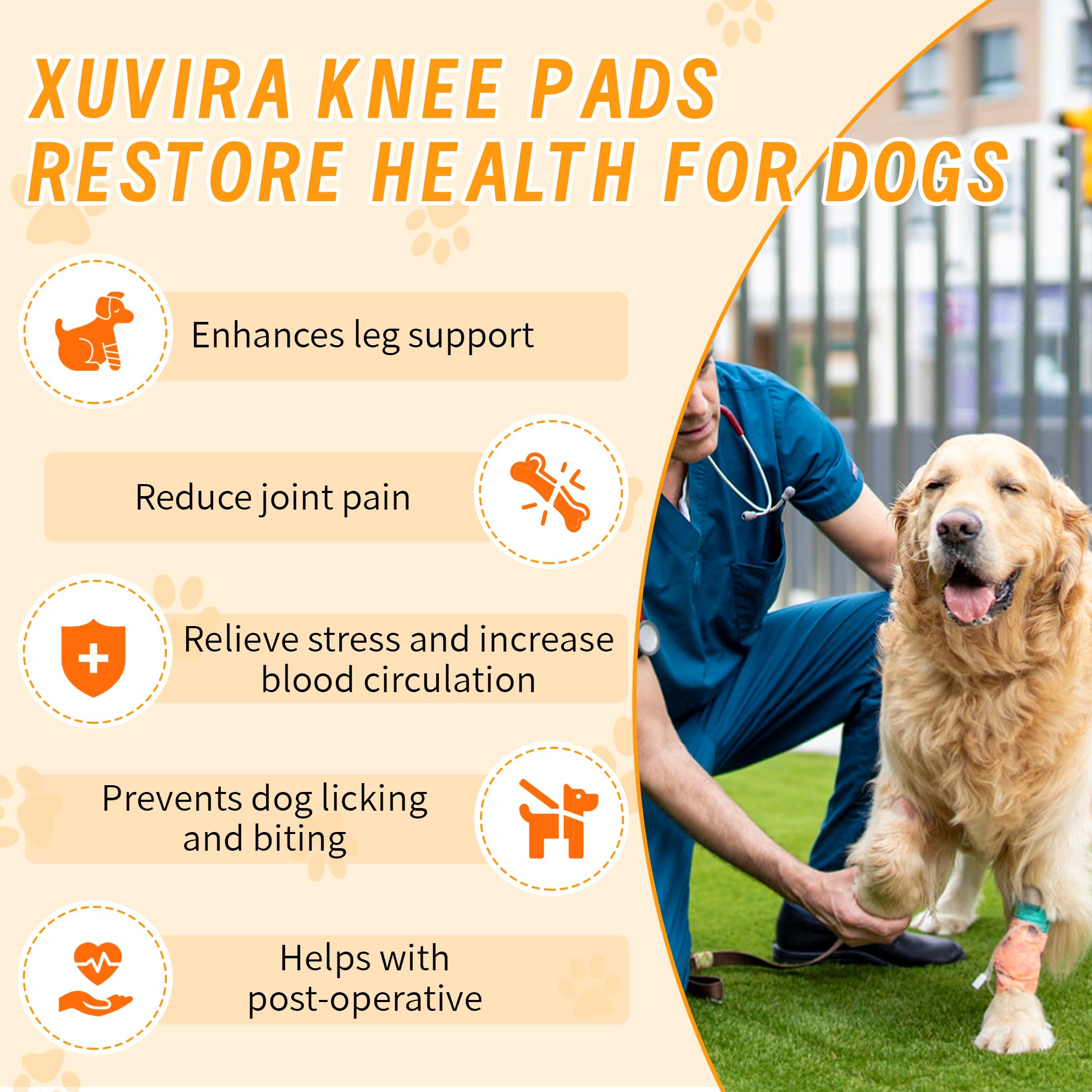 XUVIRA knee brace for dogs - metal stabilizers close-up shows reinforced joint protection.