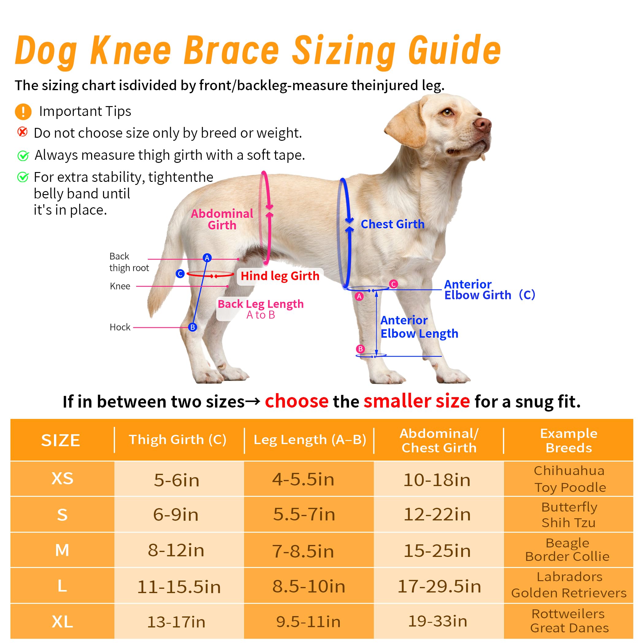 XUVIRA dog knee brace - perforated design improves breathability for all-day wear.