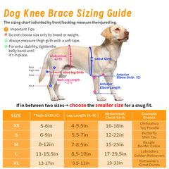 XUVIRA dog knee brace - perforated design improves breathability for all-day wear.