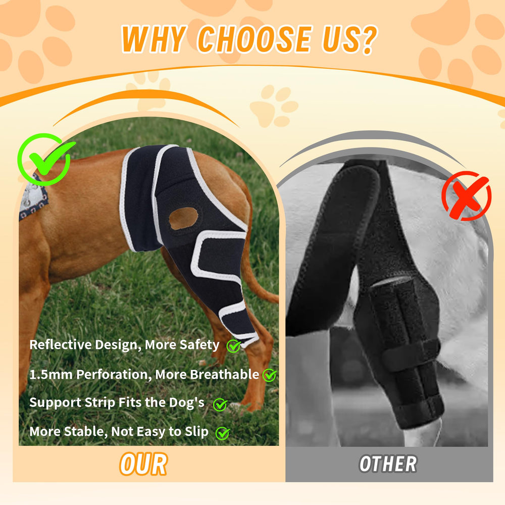 XUVIRA dog knee brace - size chart reference ensures best fit across dog sizes.