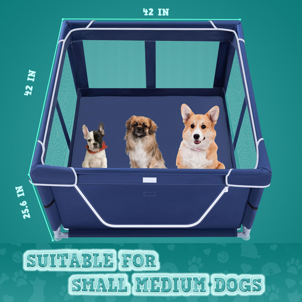 XVISHX suitable for small-to-medium dogs up to 20 lbs and 10-inch shoulder height.