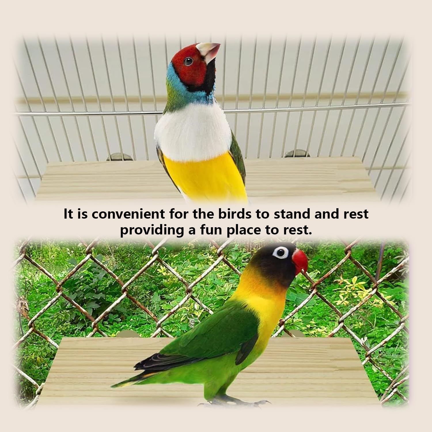 Xvnoesza parrot-stand-wood-platform-closeup-1 — safe, comfortable surface for eating and play.