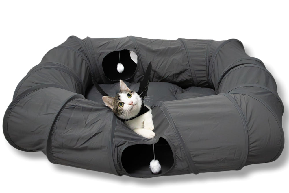 XxingSheep cat tunnel bed overview showcases spacious play space for indoor cats and relaxation.
