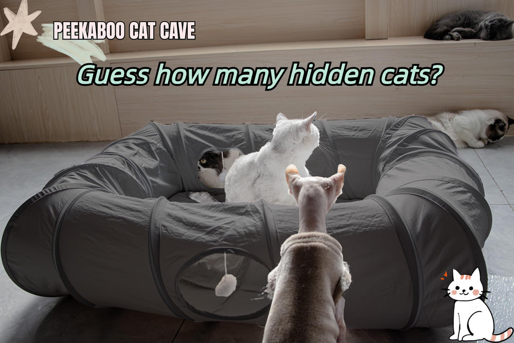 XxingSheep cat tunnel entrances highlight multiple entry points for interactive play.