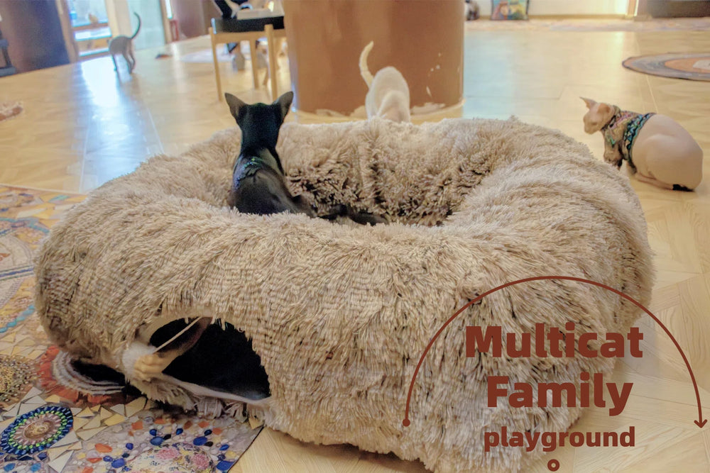 XxingSheep XL cat tunnel bed inside showing spacious lounging area