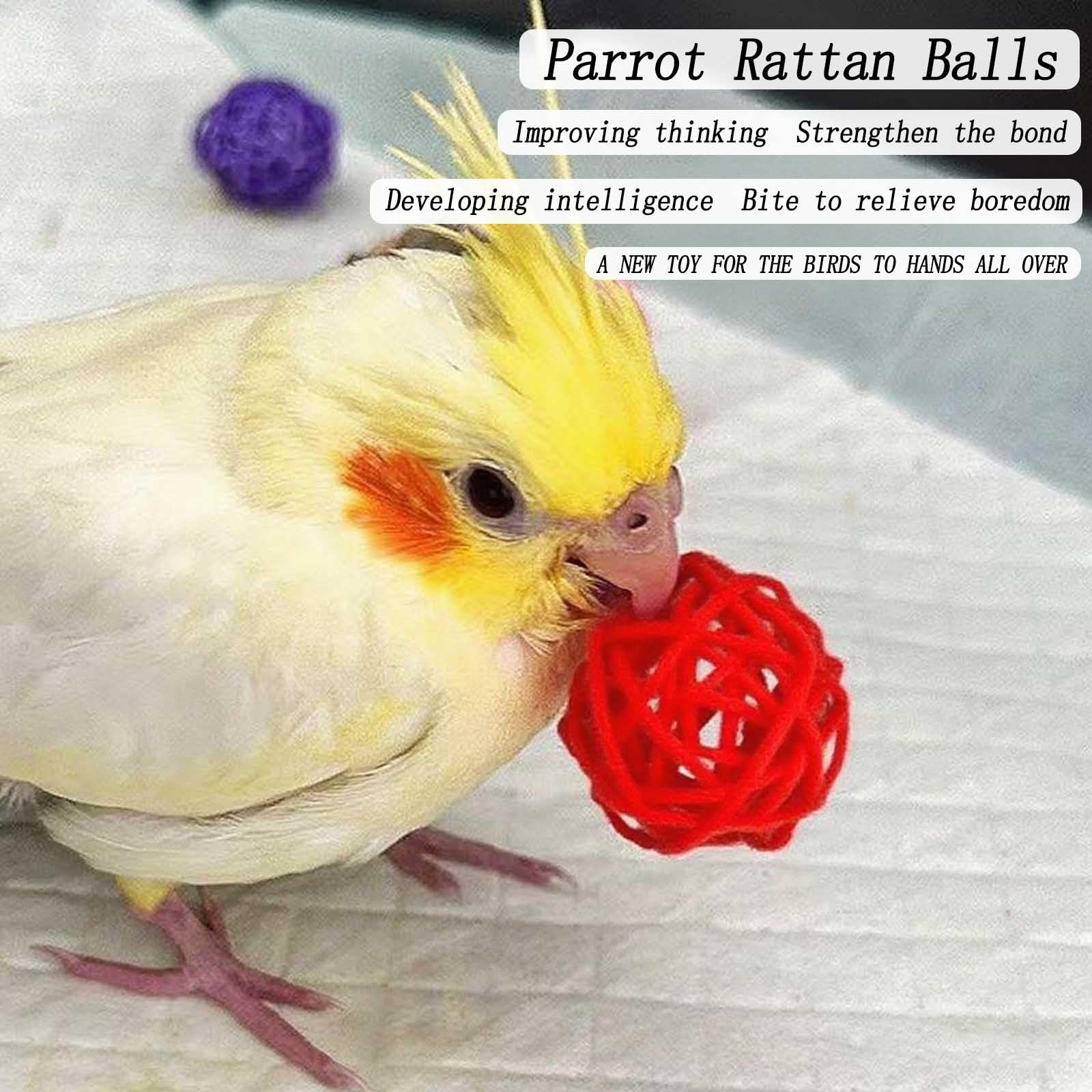 Xxmbbjy bowls adaptable for inside or outside cage use.