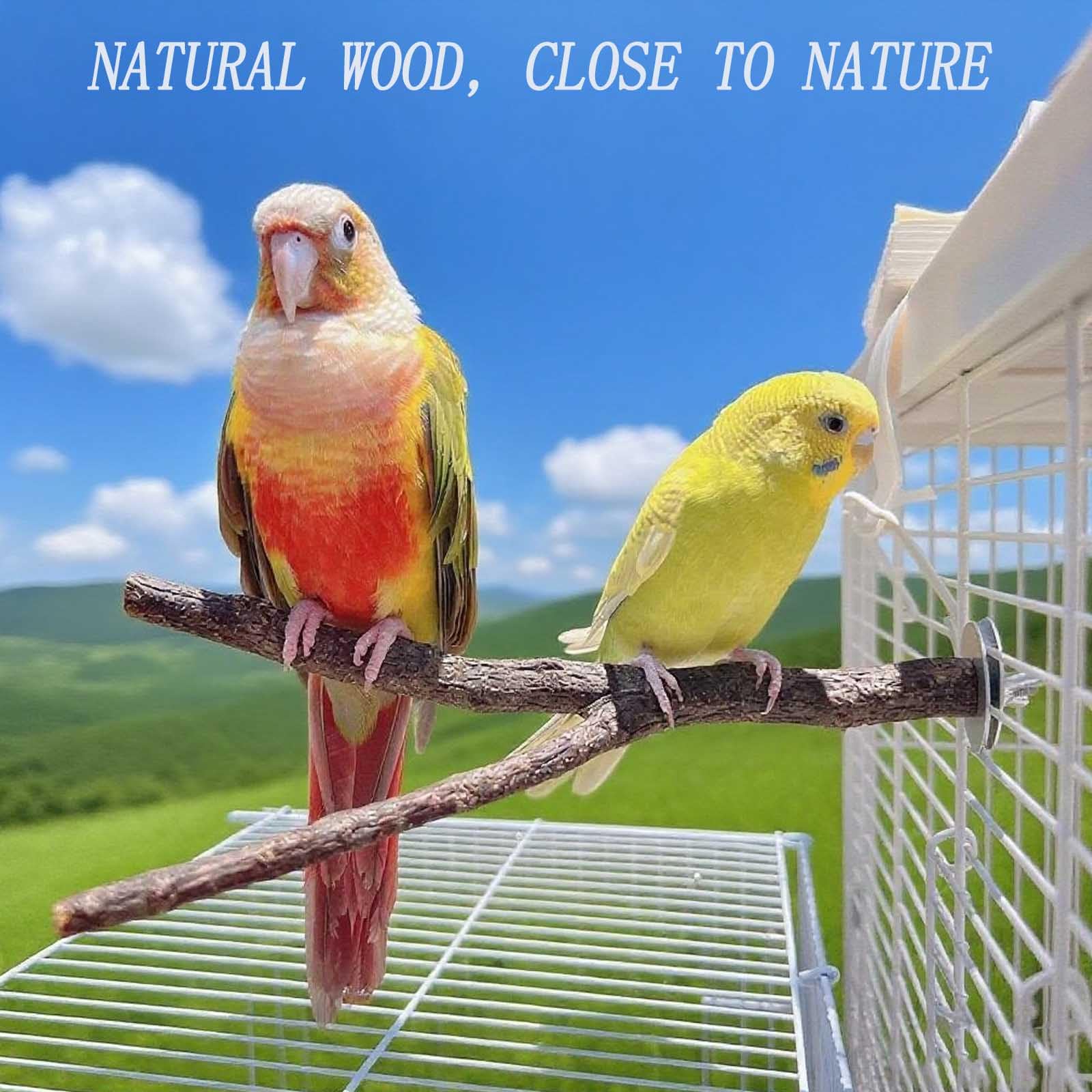 Xxmbbjy chew-friendly wood perches—natural gnawing outlet for beaks and enrichment.