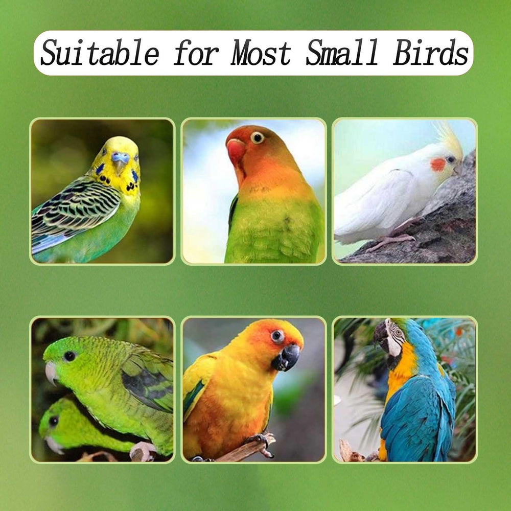 Xxmbbjy No Mess Bird Feeder assembly hardware image demonstrates quick, tool-free setup