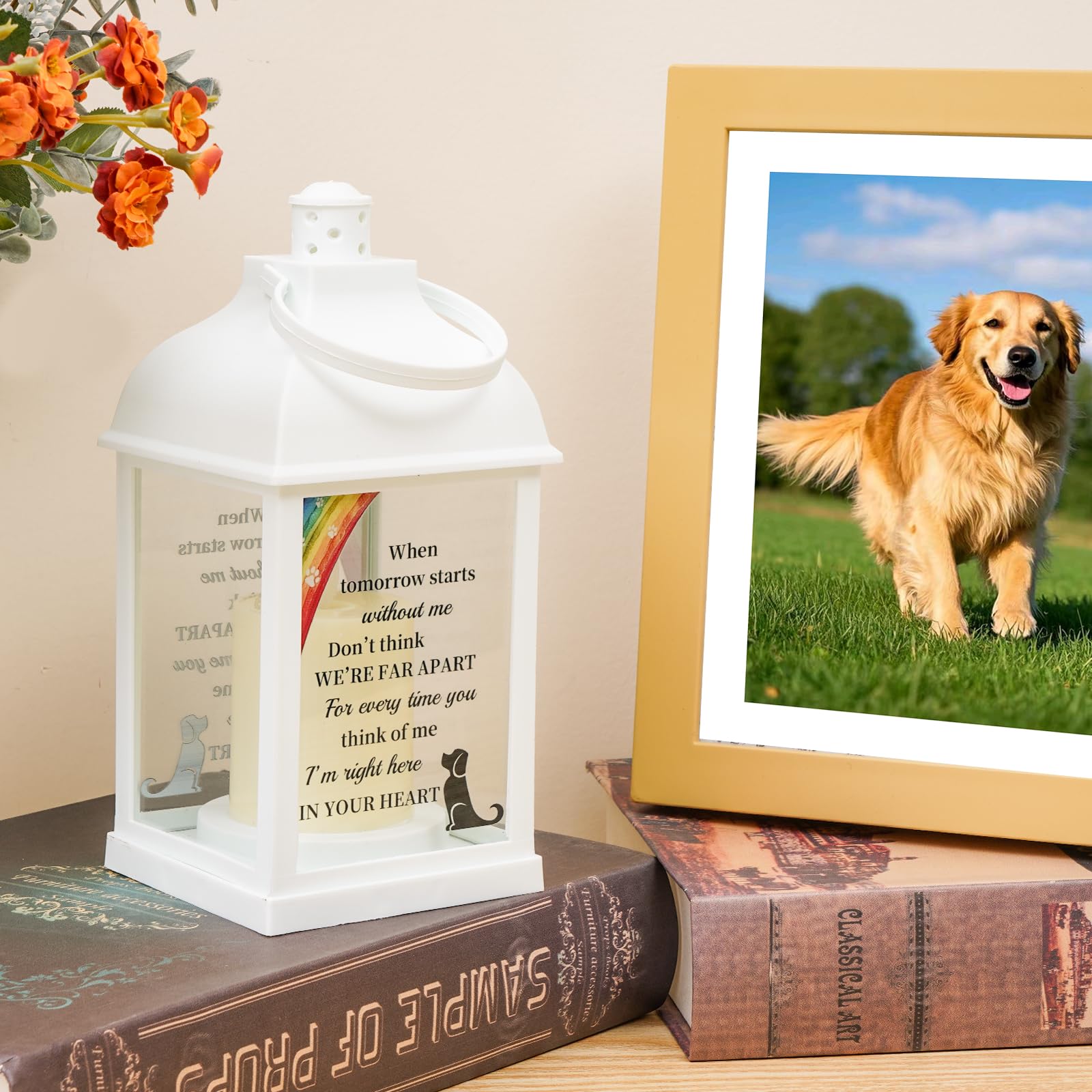 XXSTAR gift-set dog memorial lantern packaging with blank cards for heartfelt notes