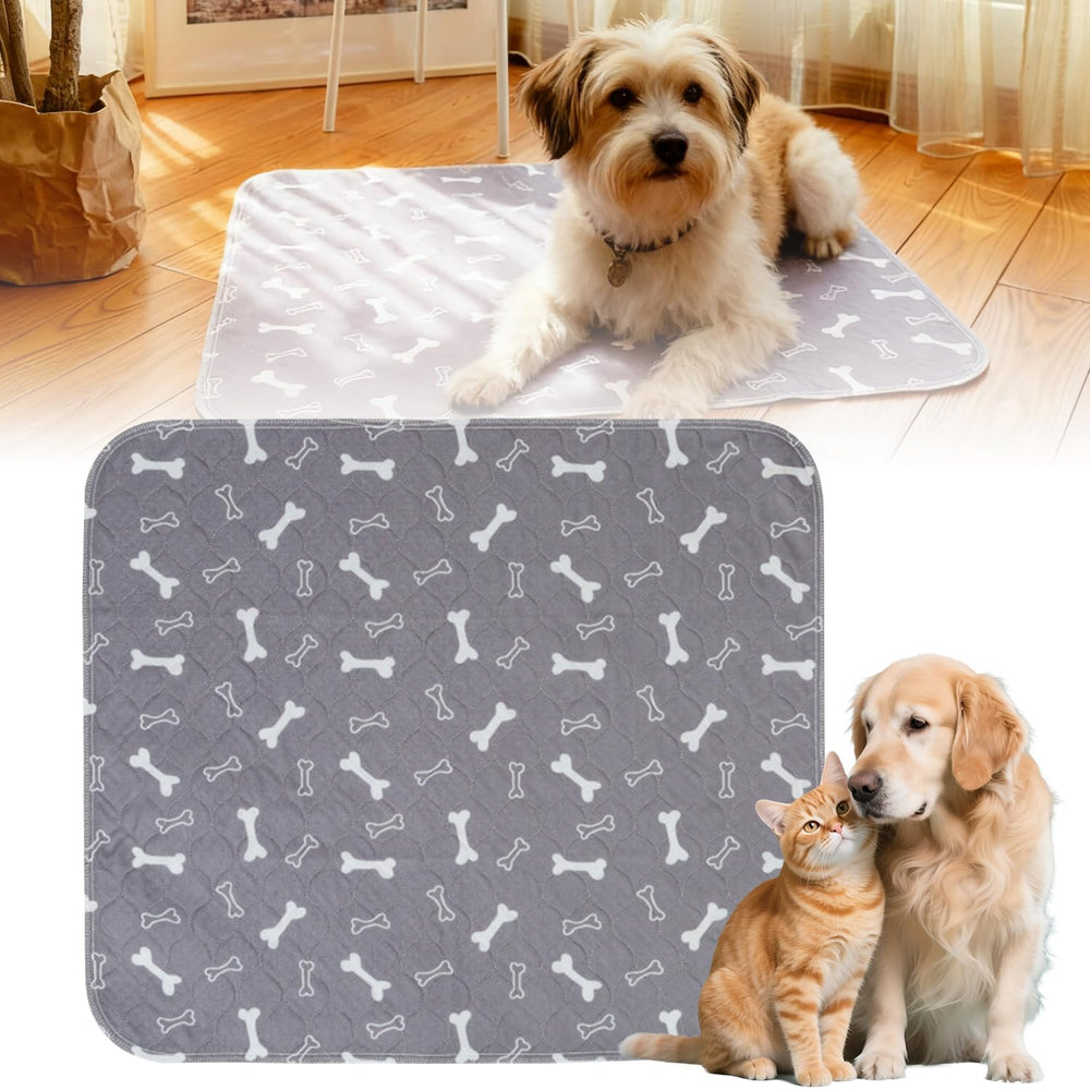 Xylora Puppy Pads large-packaging display for easy at-home training and reusable design.