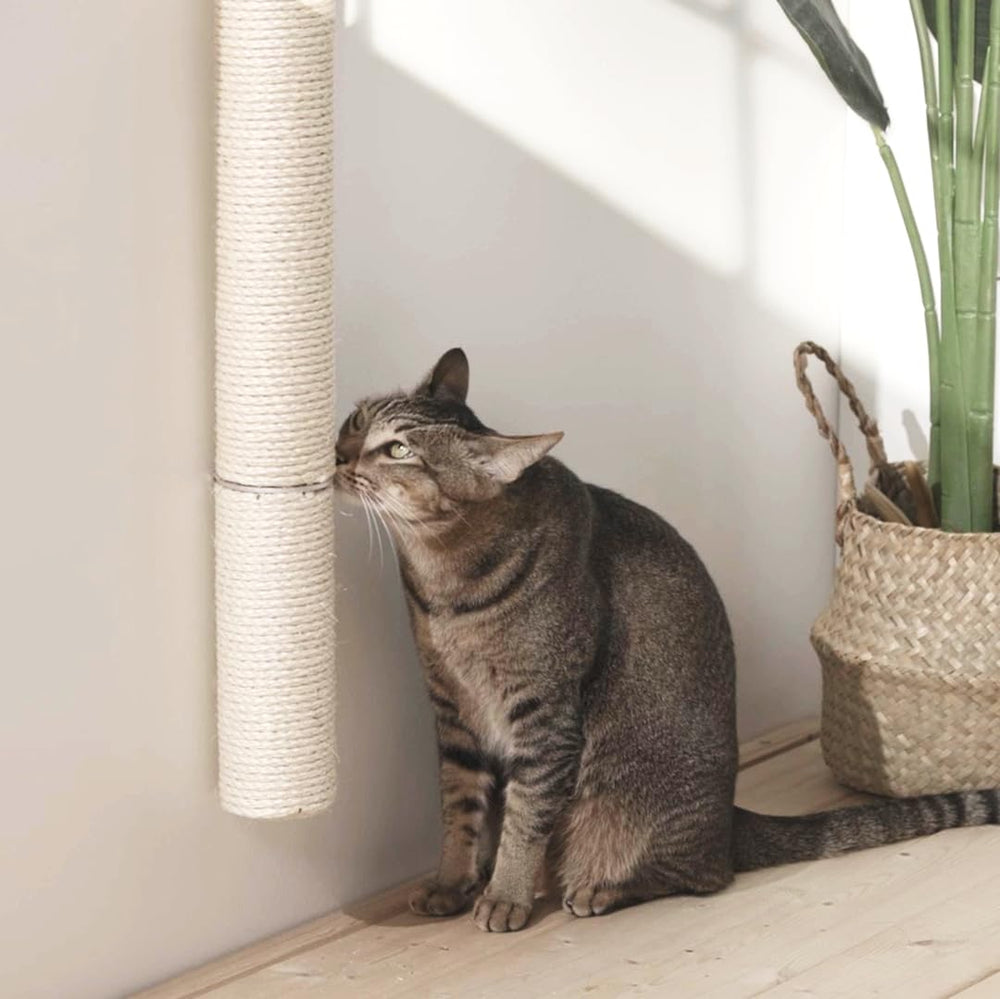 Xympo 34-inch wall scratcher keeps floors clear and entertaining cats.