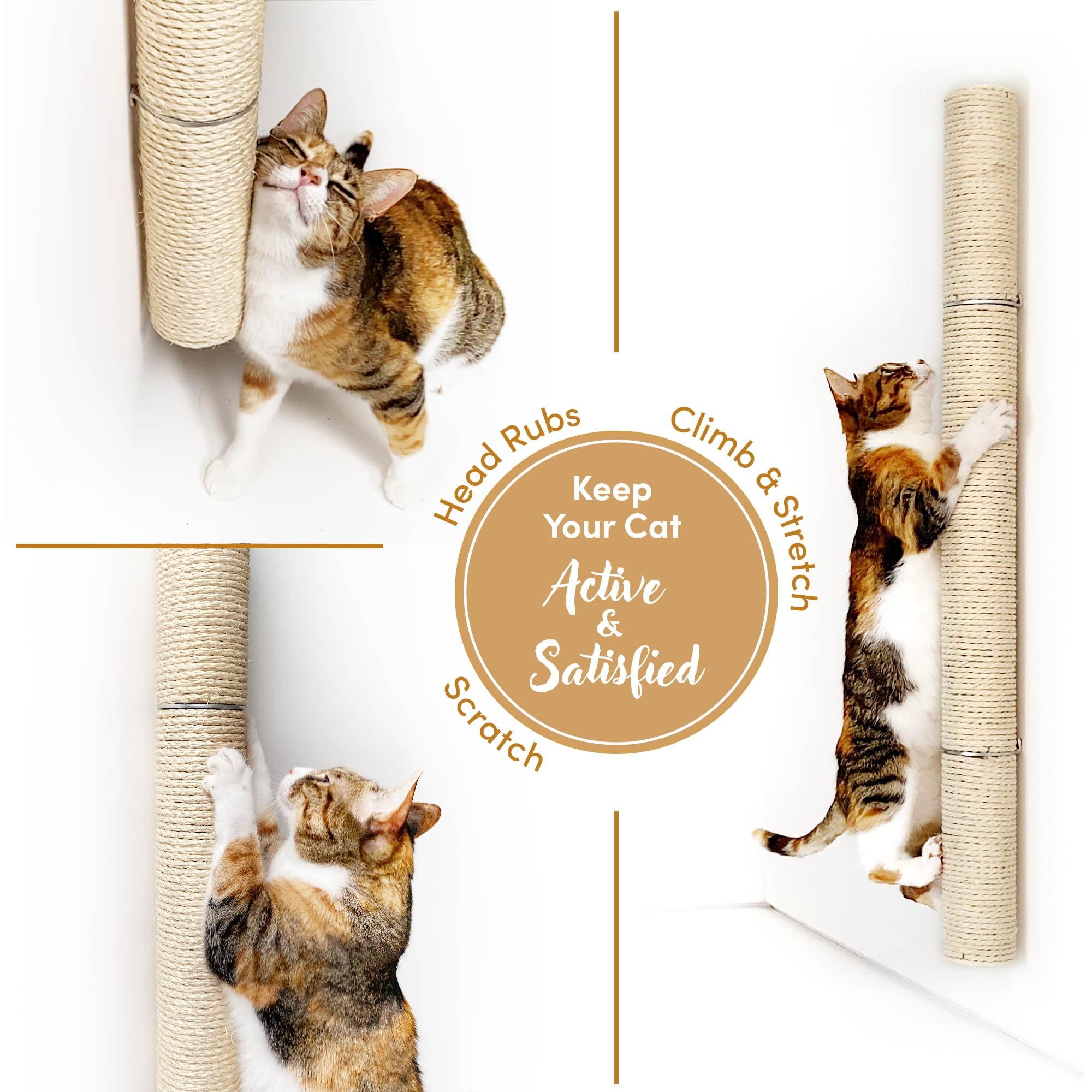 Xympo modern space-saving wall scratcher complements small-room interiors.