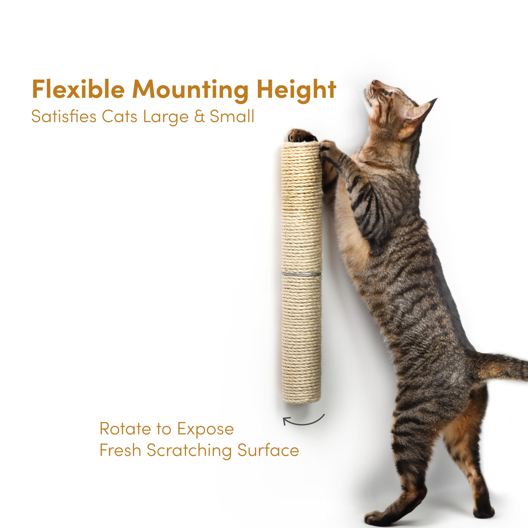 xympo natural sisal surface offers durable, textured scratching for claws.