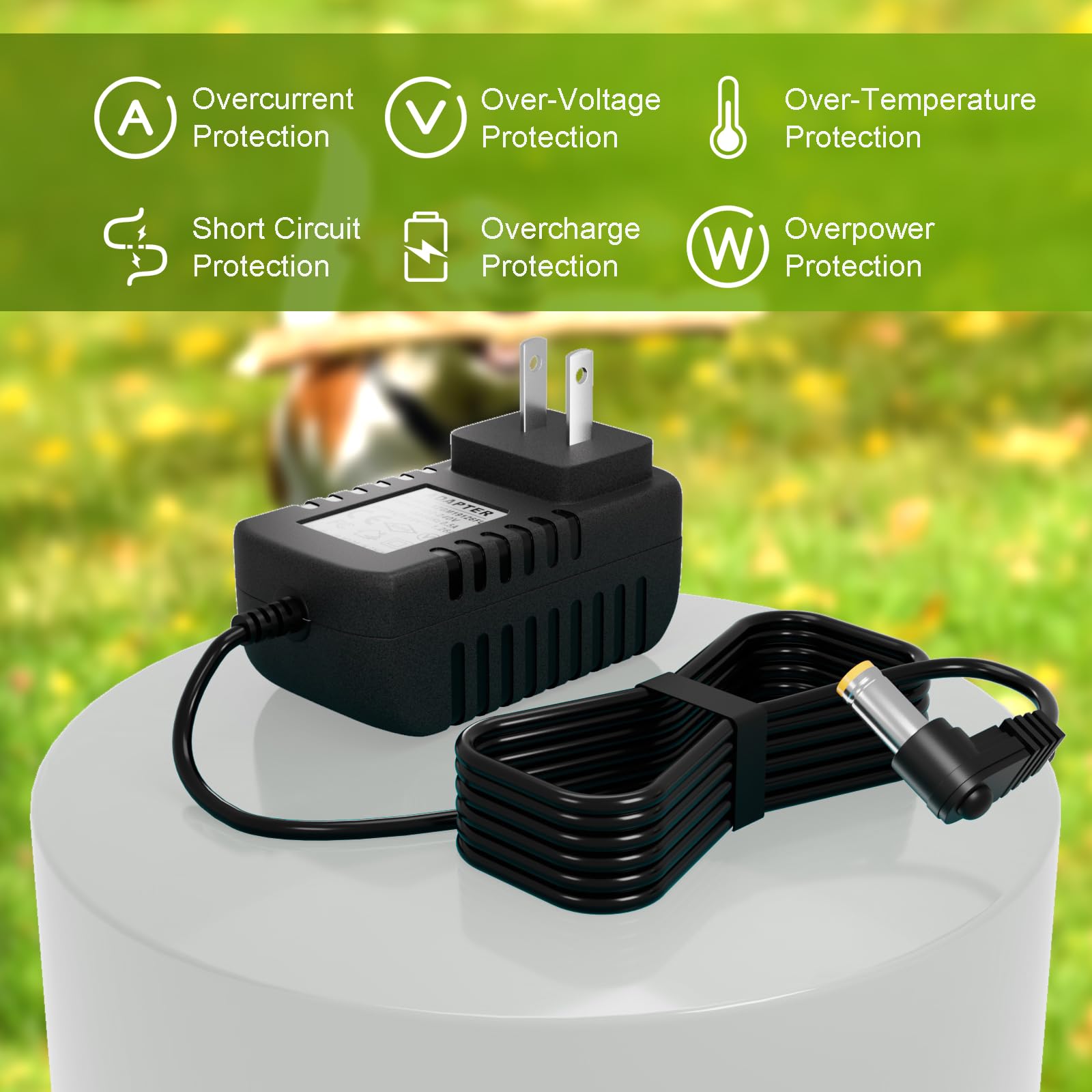 XZGm PetSafe fence compatibility diagram powering transmitter reliably