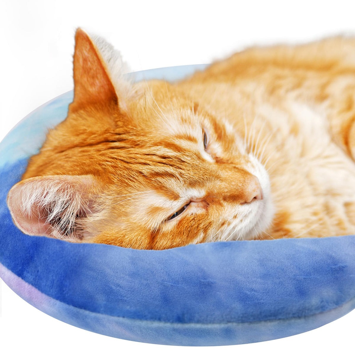 Y-blue Cat Pillow with U-shaped design supports spine for comfortable sleep.