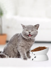 Y YHY anti-skid base keeps the bowl steady during feeding