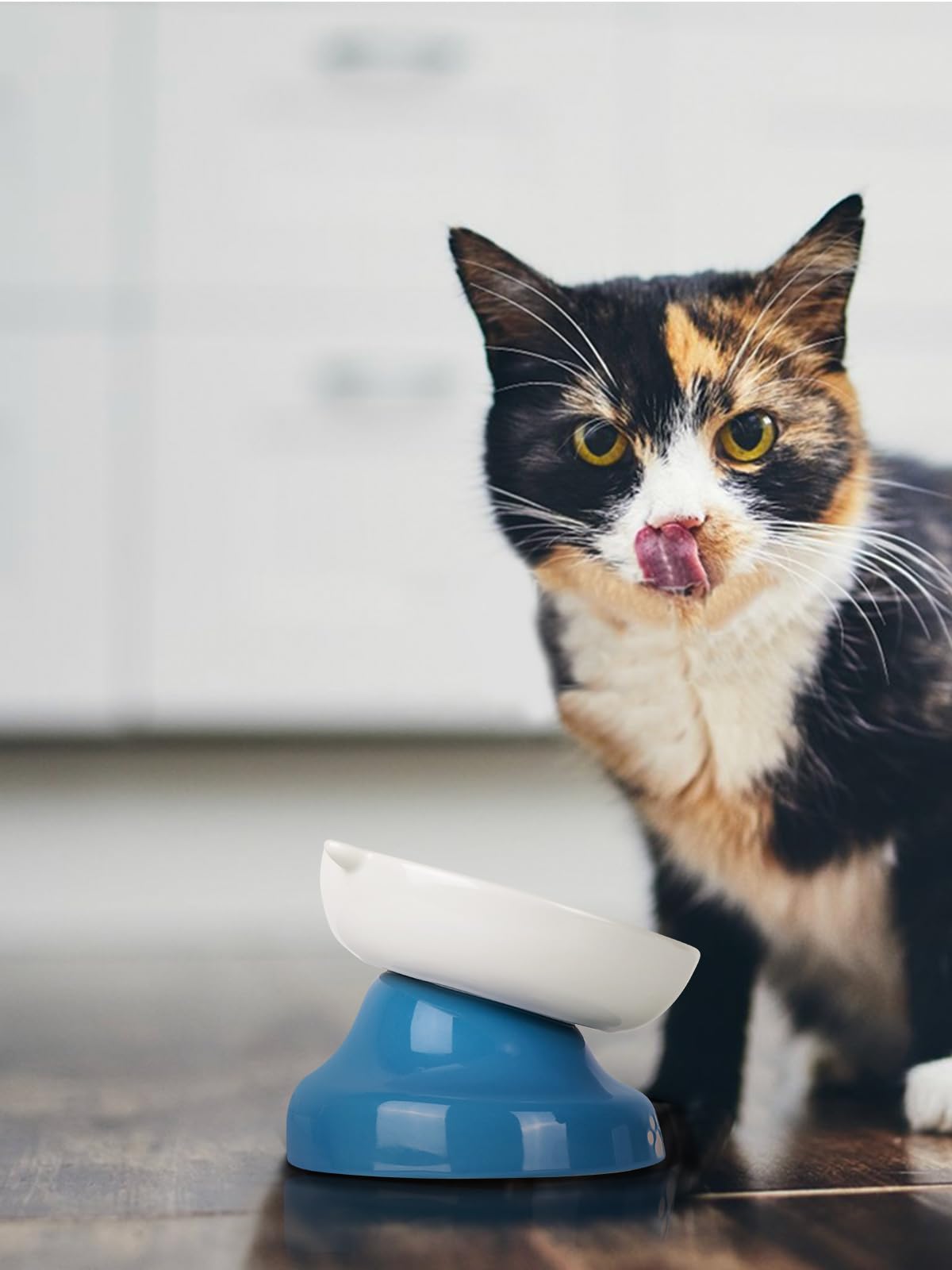 Y YHY blue glaze slow-feeder bowl combines style with practical benefits