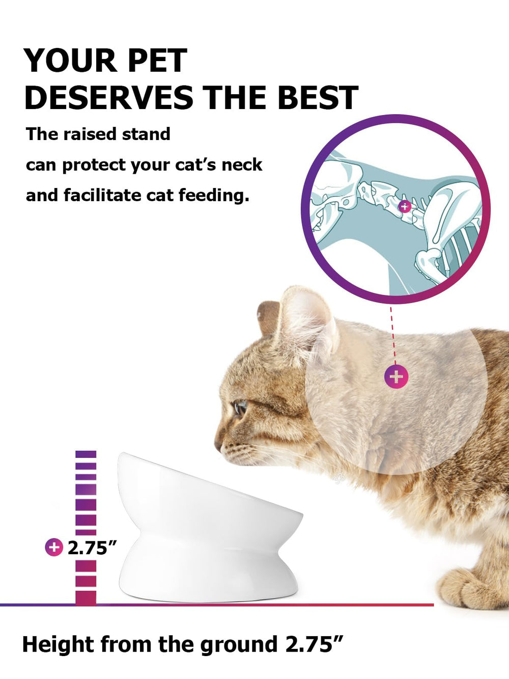 Y YHY cat bowl reduces spillages for tidier mealtimes