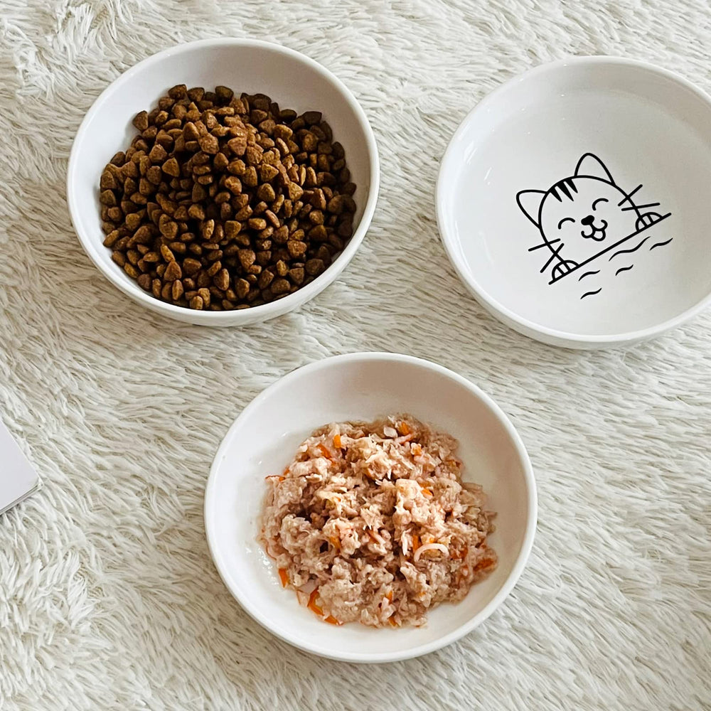Y YHY wide-dish bowls ideal for multi-cat households and kittens.