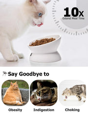 Y YHY ceramic cat bowl dishwasher safe for easy cleaning