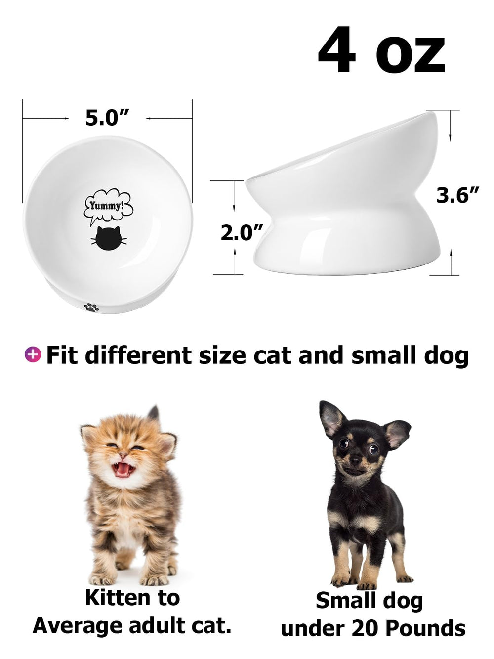 Y YHY elevated cat bowl tilt supports natural dining posture