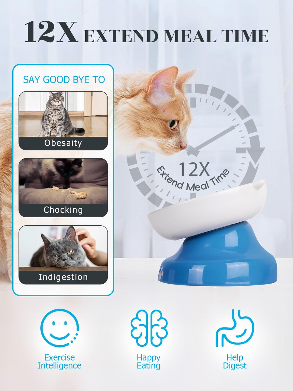 Y YHY elevated cat bowl tilted view for natural eating posture