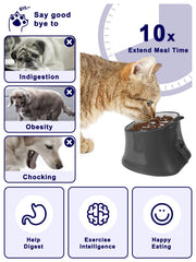 Y YHY slow feeder cat bowl tilted design guides natural head position while eating.