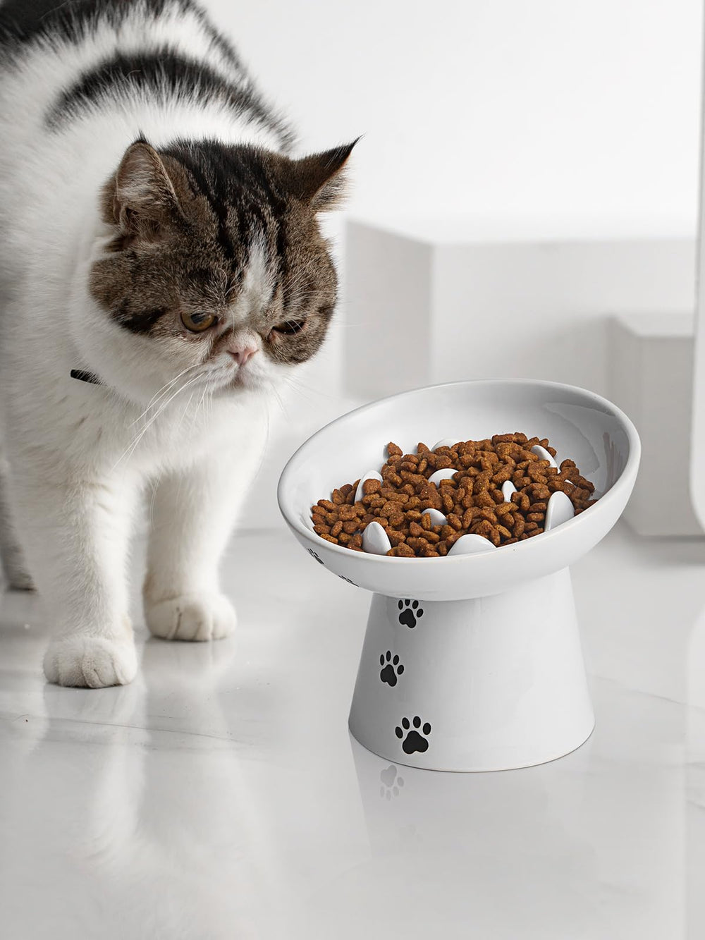 Y YYHY slow feeder bowl suitable for dry and wet food options