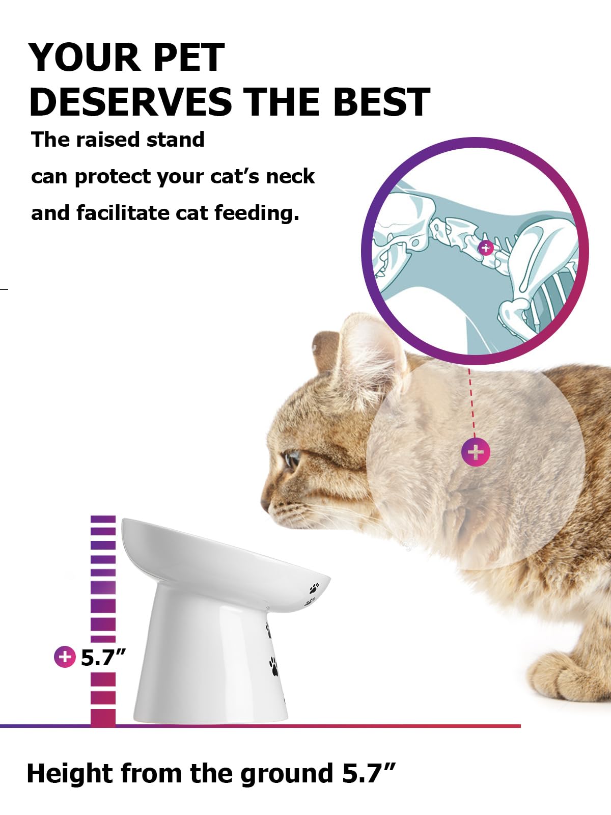 Y YYHY slow feeder bowl elevated height encourages natural posture while eating