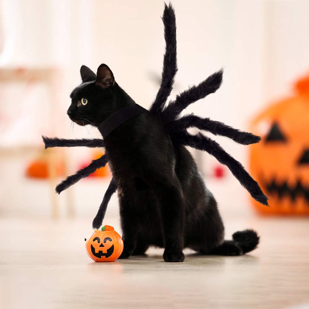 Yafeite Halloween spider-costume enhances party atmosphere at home