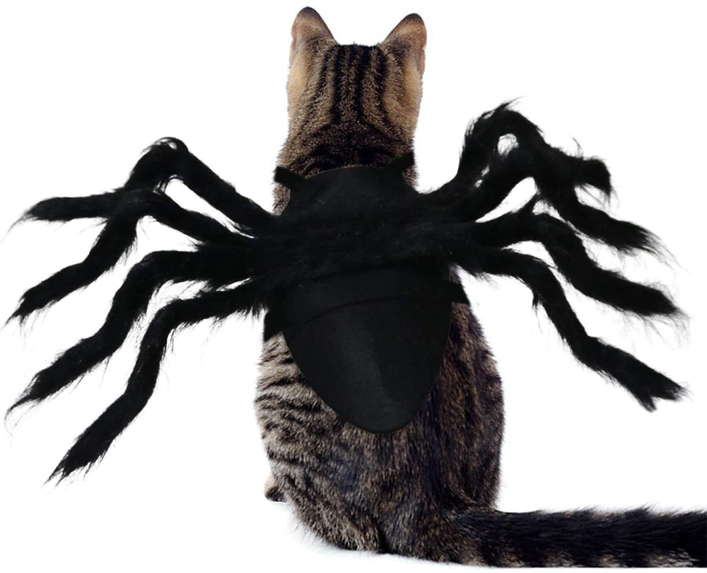 Yafeite spider-costume on cat for spooky cute Halloween look