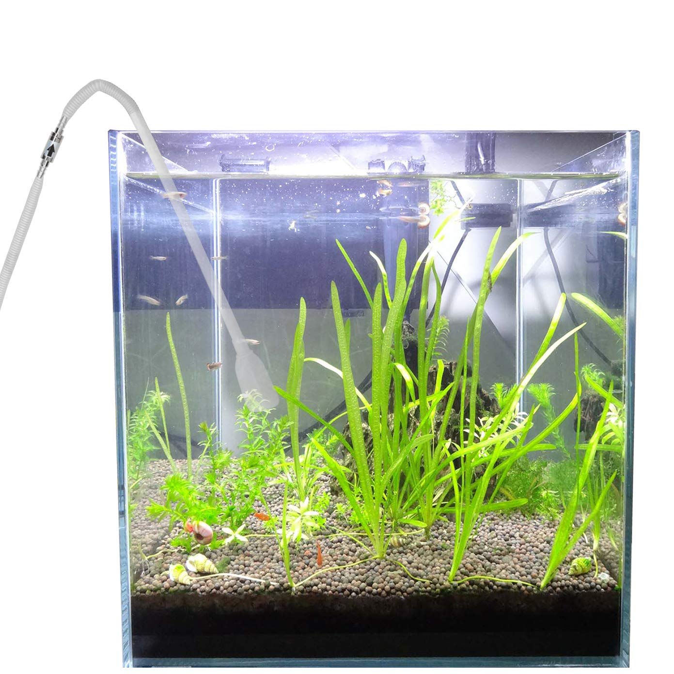 Yagote CO2 check valve in a lush planted tank setup highlighting steady CO2 flow.