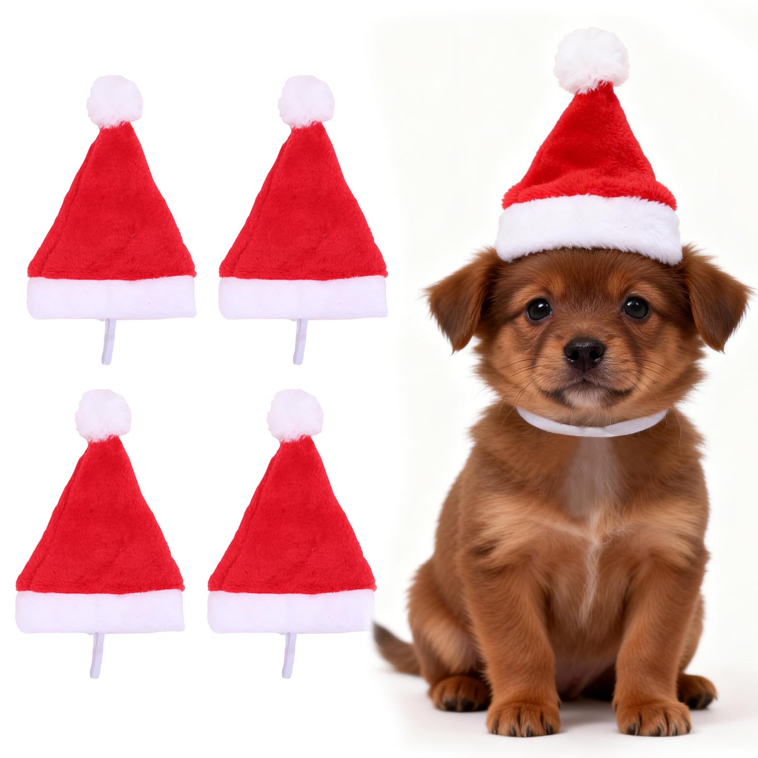 Yahpetes Santa hat worn by a cat-dog duo at a holiday family gathering
