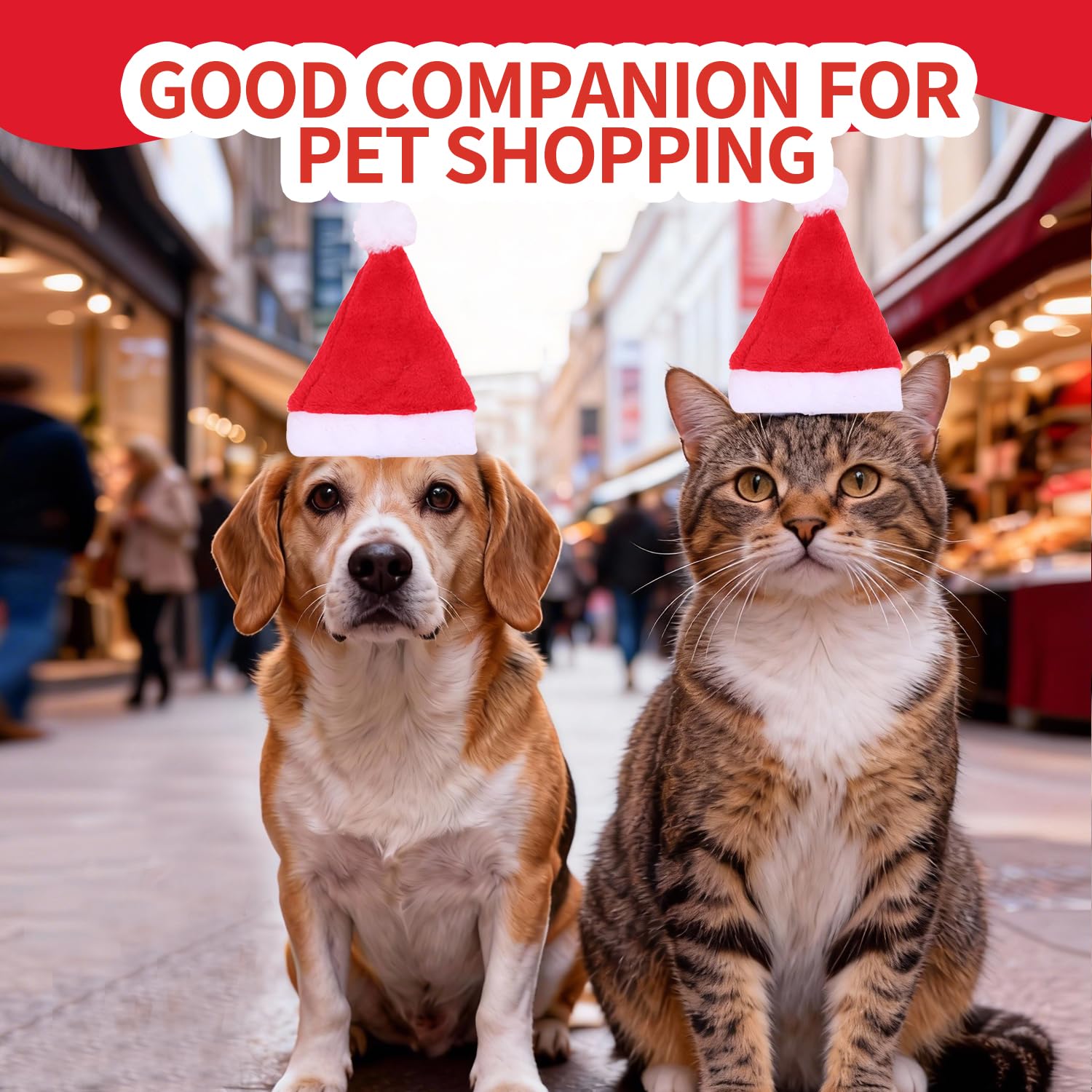 Yahpetes two-pack shows convenient option for multiple pets or replacements.