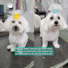 YAKA 20-color assortment showcased for stylish, versatile pet styling.