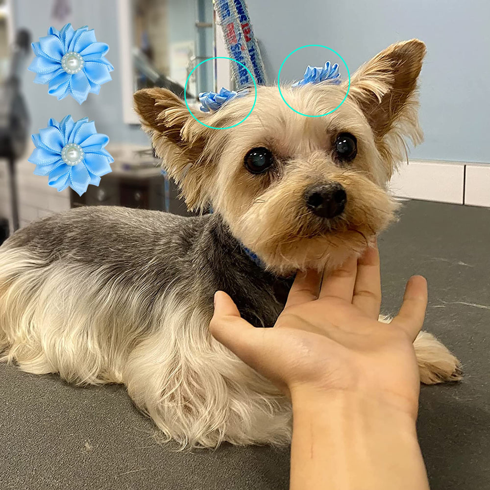 YAKA 40pcs set ready for sharing grooming kits and quick changes.