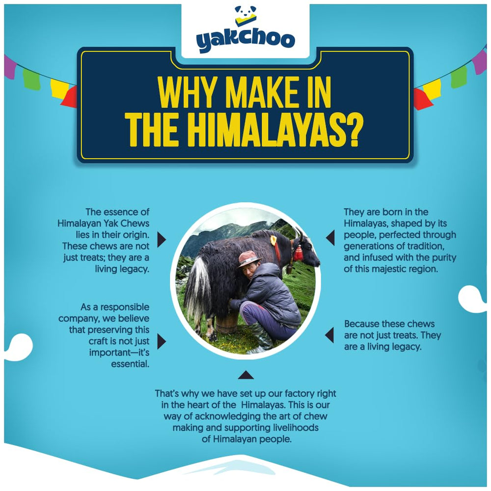 Yakchoo Real Himalayan Dog Chews allergen-free option for sensitive dogs.