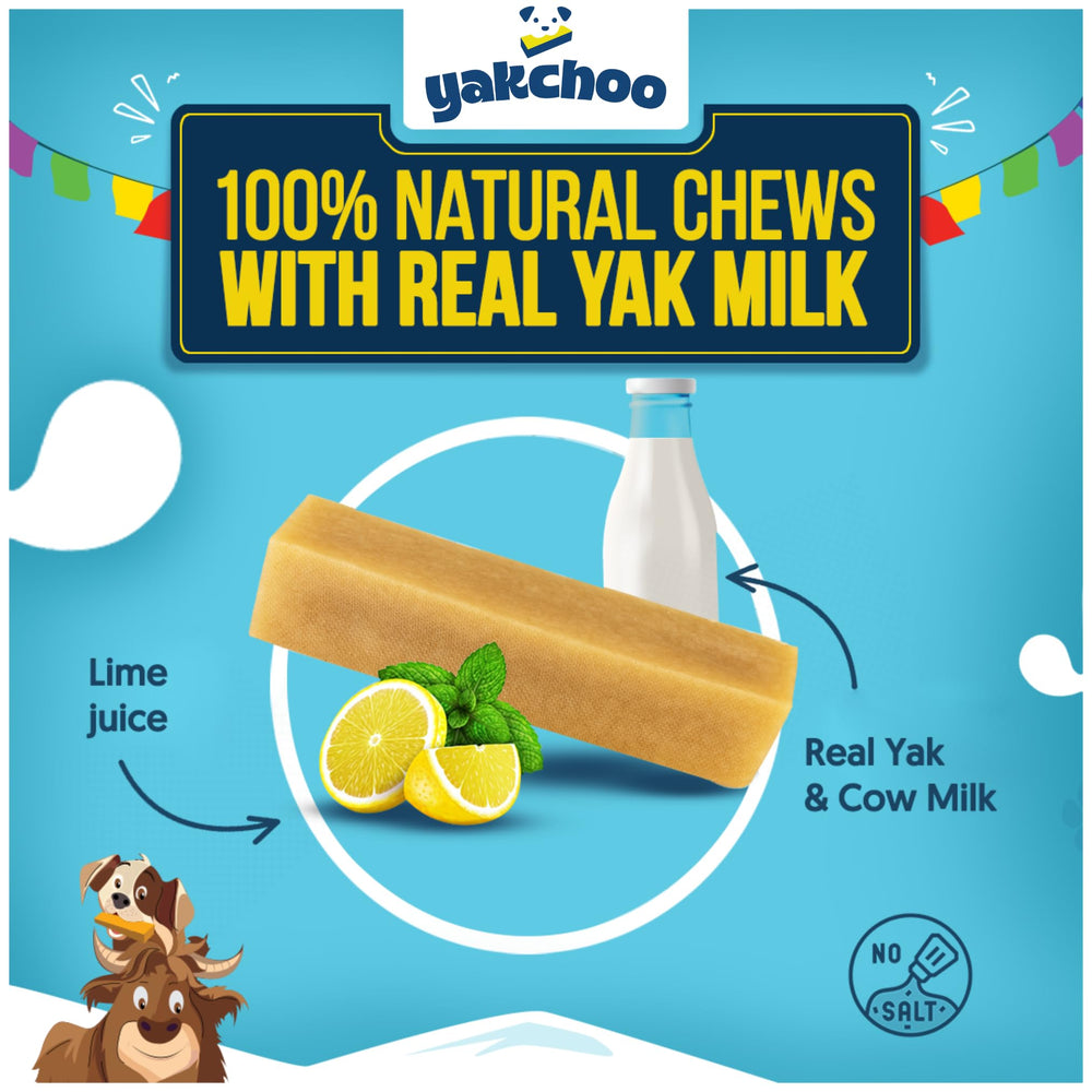 Yakchoo Real Himalayan Dog Chews closeup texture shows a hard, long-lasting chew.
